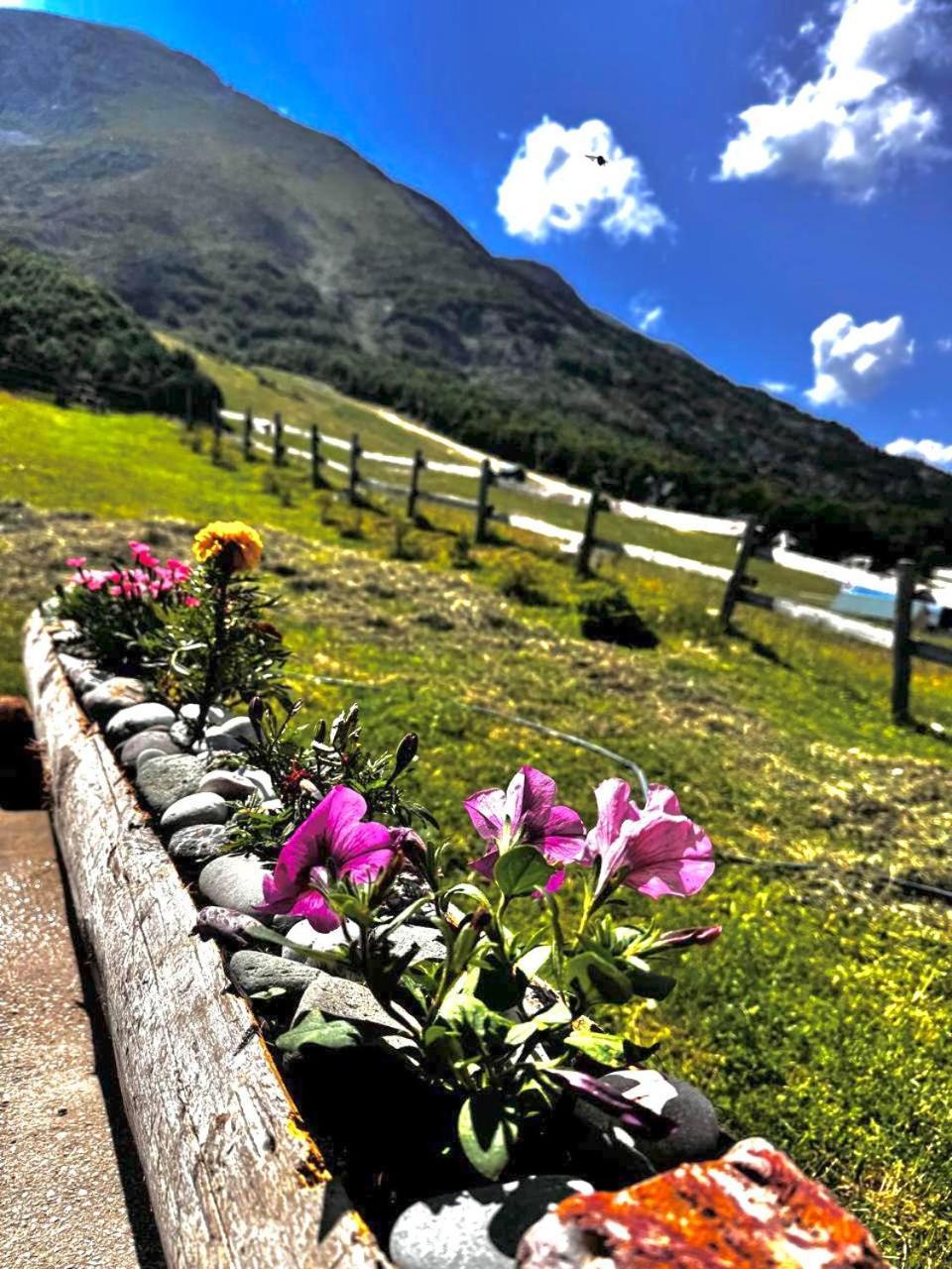 Mountain House Savin Kuk Villa Žabljak Exterior foto